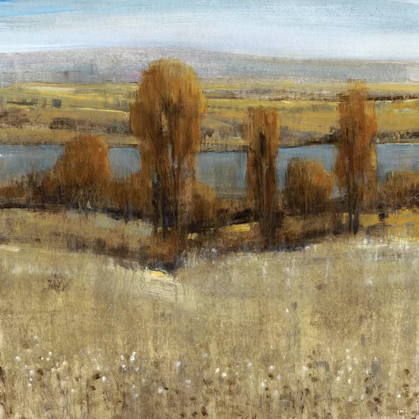 Countrysides: River Valley I by Tim O'Toole
