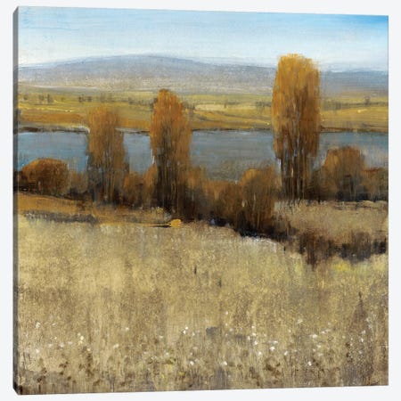 River Valley II Canvas Print #TOT170} by Tim OToole Canvas Print