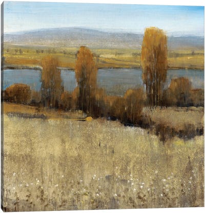 River Valley II Canvas Art Print - Tim O'Toole