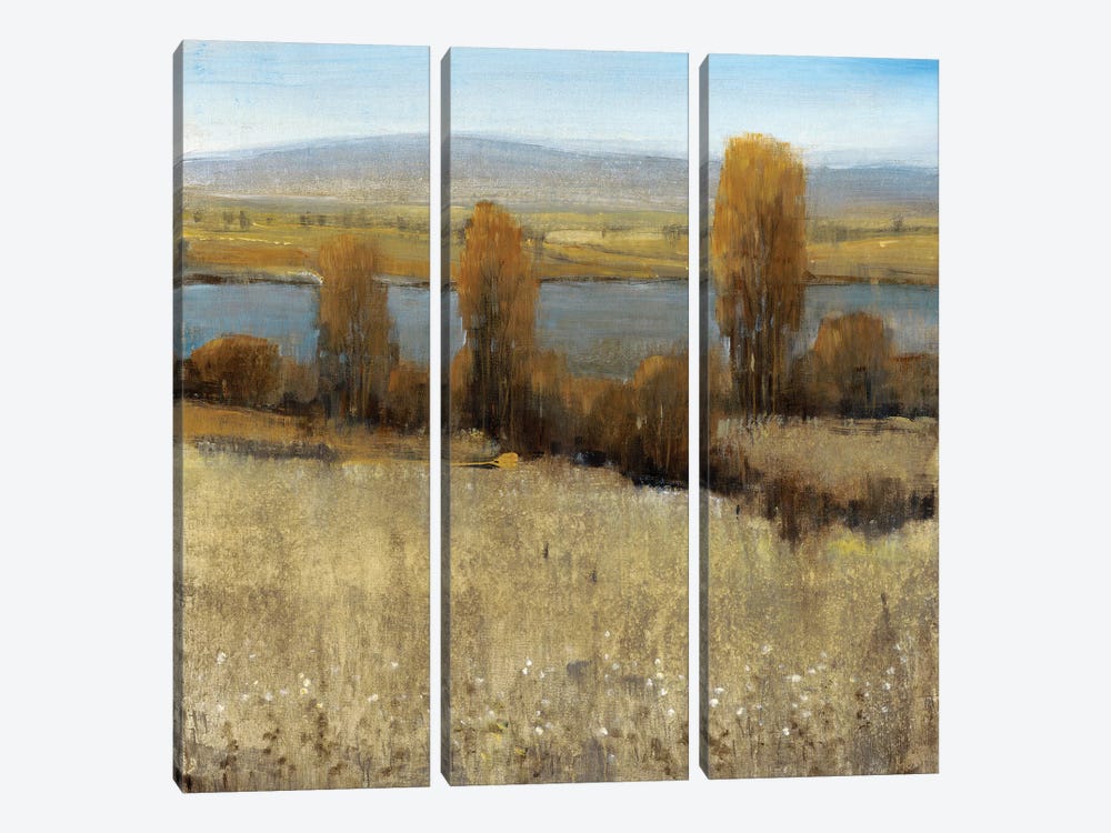 River Valley II by Tim OToole 3-piece Canvas Art Print