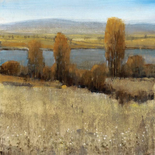 Countrysides: River Valley II by Tim O'Toole