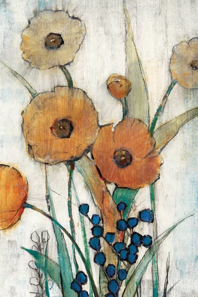 Spring: Spring Joy II by Tim O'Toole