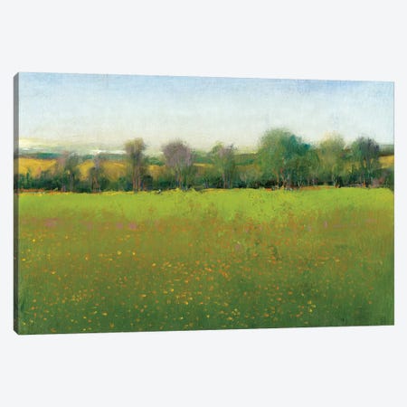 Verdant Countryside I Canvas Print #TOT175} by Tim OToole Canvas Artwork