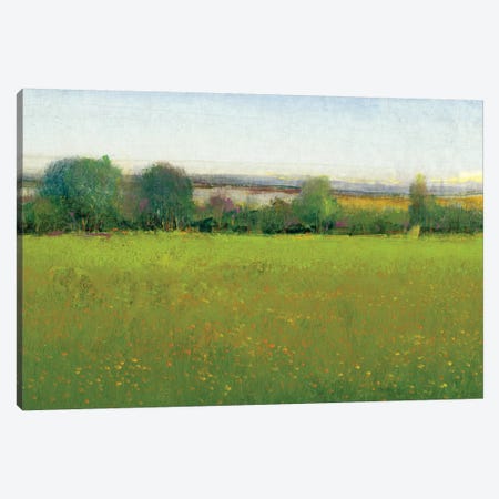 Verdant Countryside II Canvas Print #TOT176} by Tim OToole Canvas Art