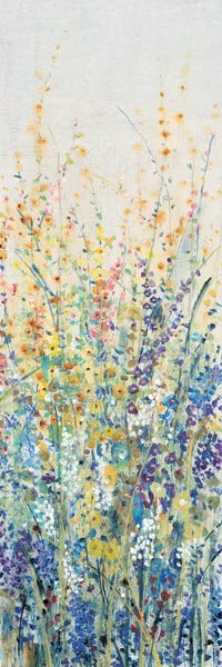 Spring: Wildflower Panel I by Tim O'Toole