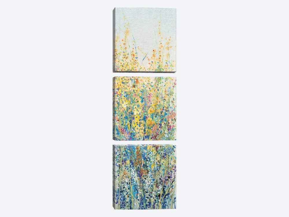 Wildflower Panel III by Tim OToole 3-piece Canvas Art