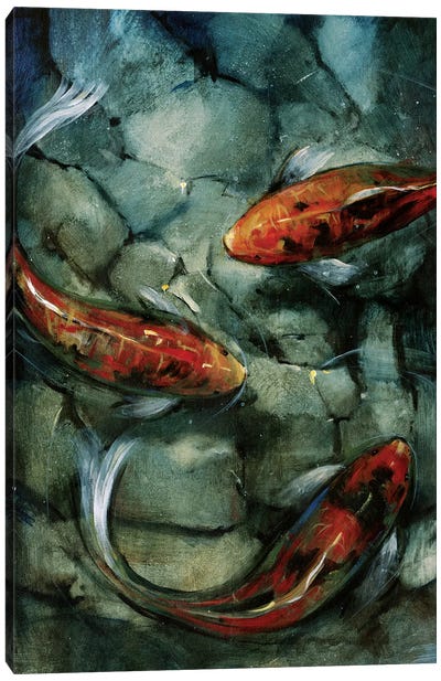Tres Koi II Canvas Art Print - Tim O'Toole