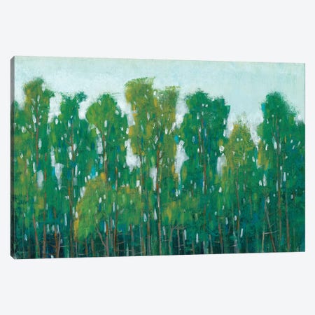Forest Green II Canvas Print #TOT181} by Tim OToole Canvas Wall Art