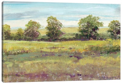 Abundant Spring I Canvas Art Print - Tim O'Toole