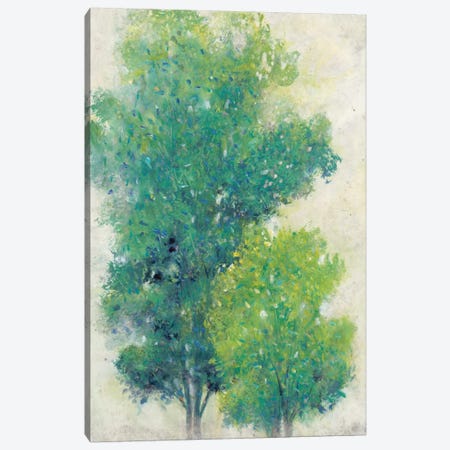 A Pair Of Trees I Canvas Print #TOT19} by Tim OToole Canvas Wall Art