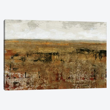 Afternoon Glow I Canvas Print #TOT1} by Tim OToole Art Print