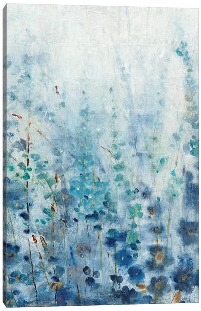 Misty Blooms I Canvas Art Print - Tim O'Toole
