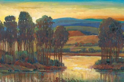 Open Inlet I by Tim O'Toole canvas print