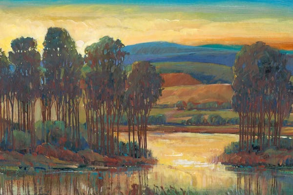 Marshes & Swamps: Open Inlet I by Tim O'Toole