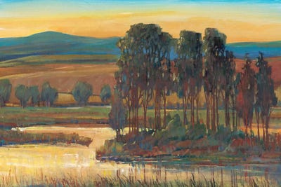 Open Inlet II by Tim O'Toole metal wall art