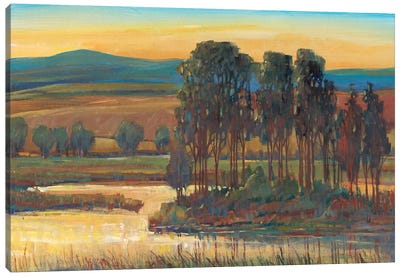 Open Inlet II Canvas Art Print - Marsh & Swamp Art