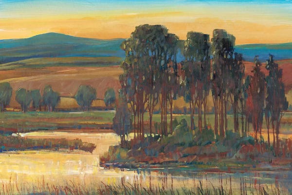 Marshes & Swamps: Open Inlet II by Tim O'Toole