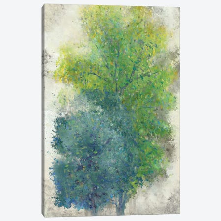 A Pair Of Trees II Canvas Print #TOT20} by Tim OToole Canvas Art Print