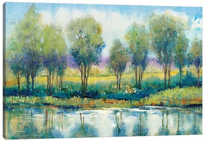 River Reflection I Canvas Art Print - Pond Art