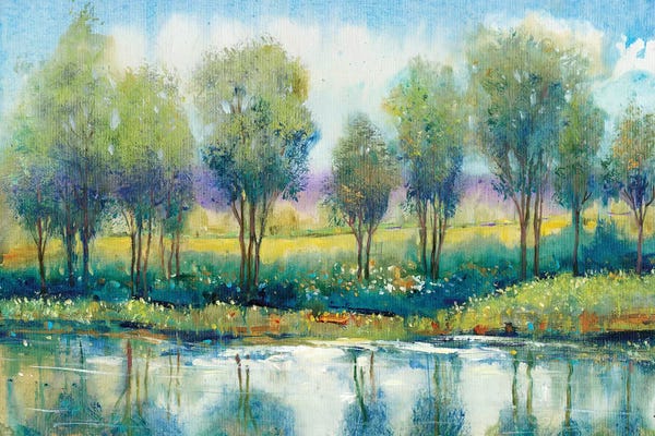 River Reflection I
