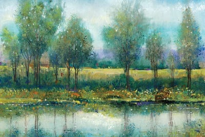 River Reflection II by Tim O'Toole canvas print