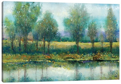 River Reflection II Canvas Art Print - Pond Art