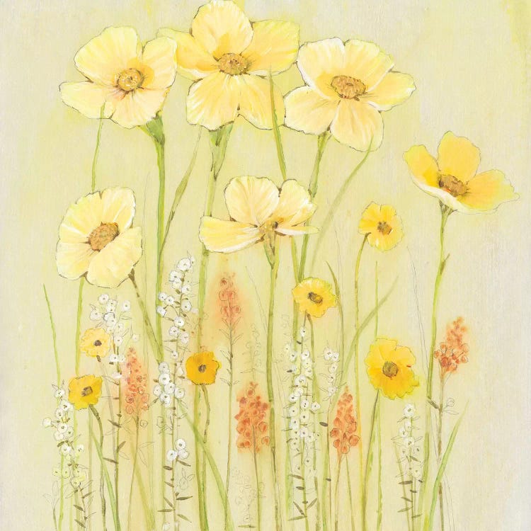 Soft Spring Floral I by Tim OToole wall art