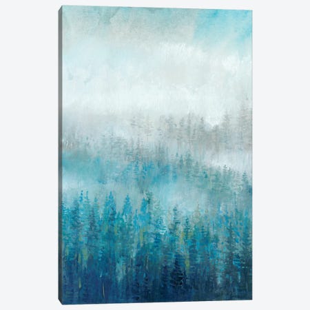 Above The Mist I Canvas Print #TOT234} by Tim OToole Canvas Print