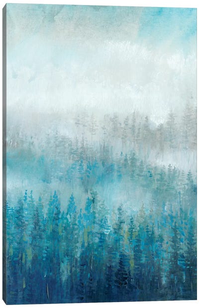 Above The Mist I Canvas Art Print - Tim O'Toole