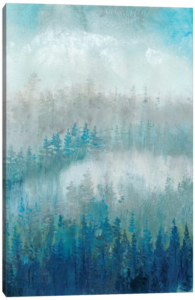 Above The Mist II Canvas Art Print - Tim O'Toole