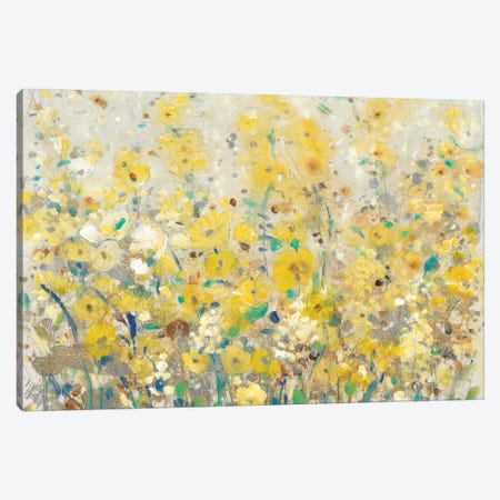 Cheerful Garden I Canvas Print #TOT236} by Tim OToole Canvas Print