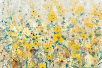 Cheerful Garden II by Tim O'Toole canvas print