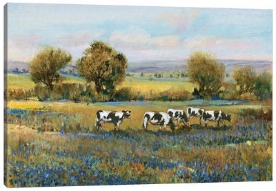 Field Of Cattle I Canvas Art Print - Tim O'Toole
