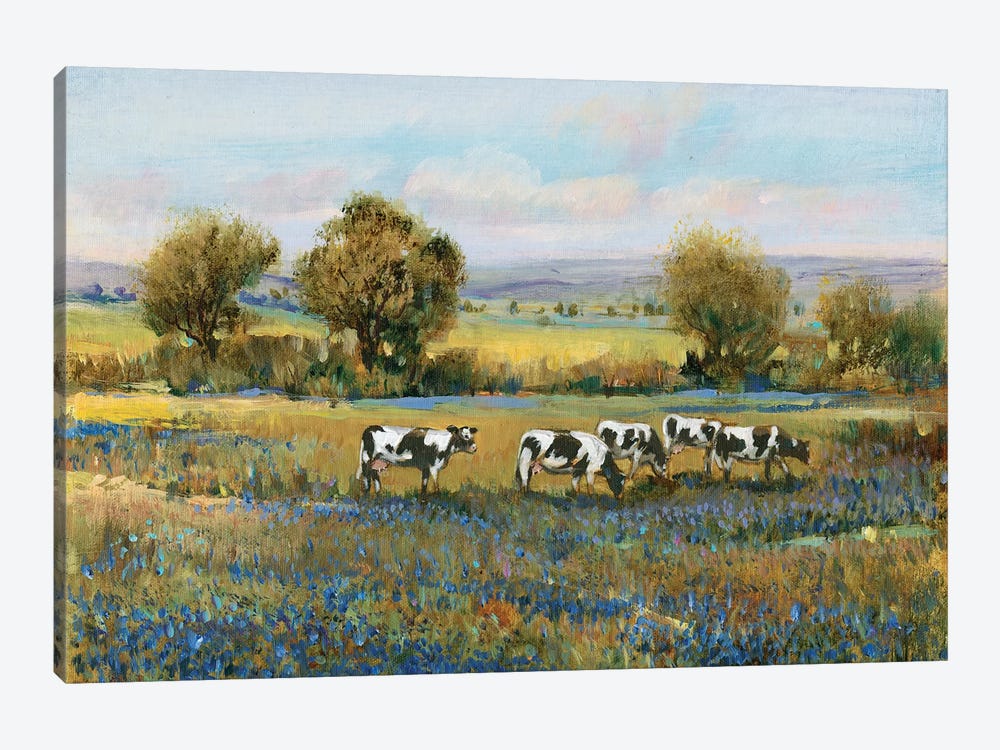 Field Of Cattle I by Tim OToole 1-piece Canvas Art
