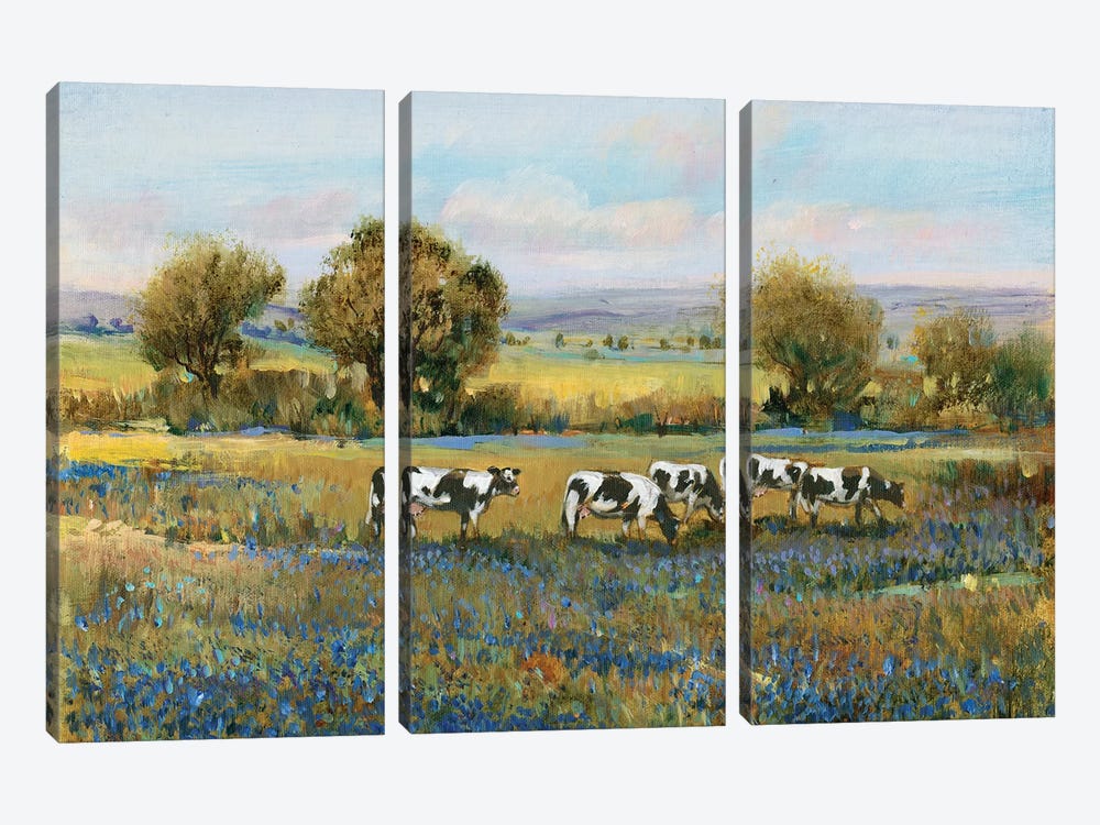 Field Of Cattle I by Tim OToole 3-piece Canvas Wall Art