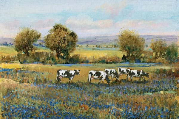 Farms: Field Of Cattle I by Tim O'Toole