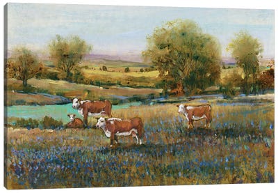 Field Of Cattle II Canvas Art Print - Countryside Art