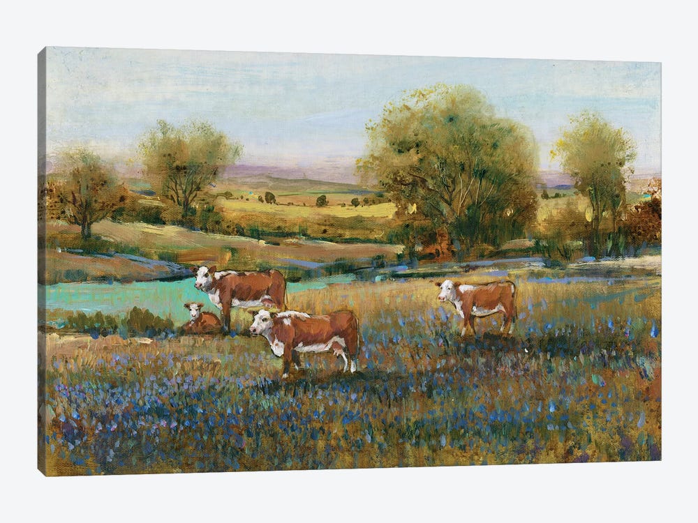 Field Of Cattle II by Tim OToole 1-piece Canvas Art Print