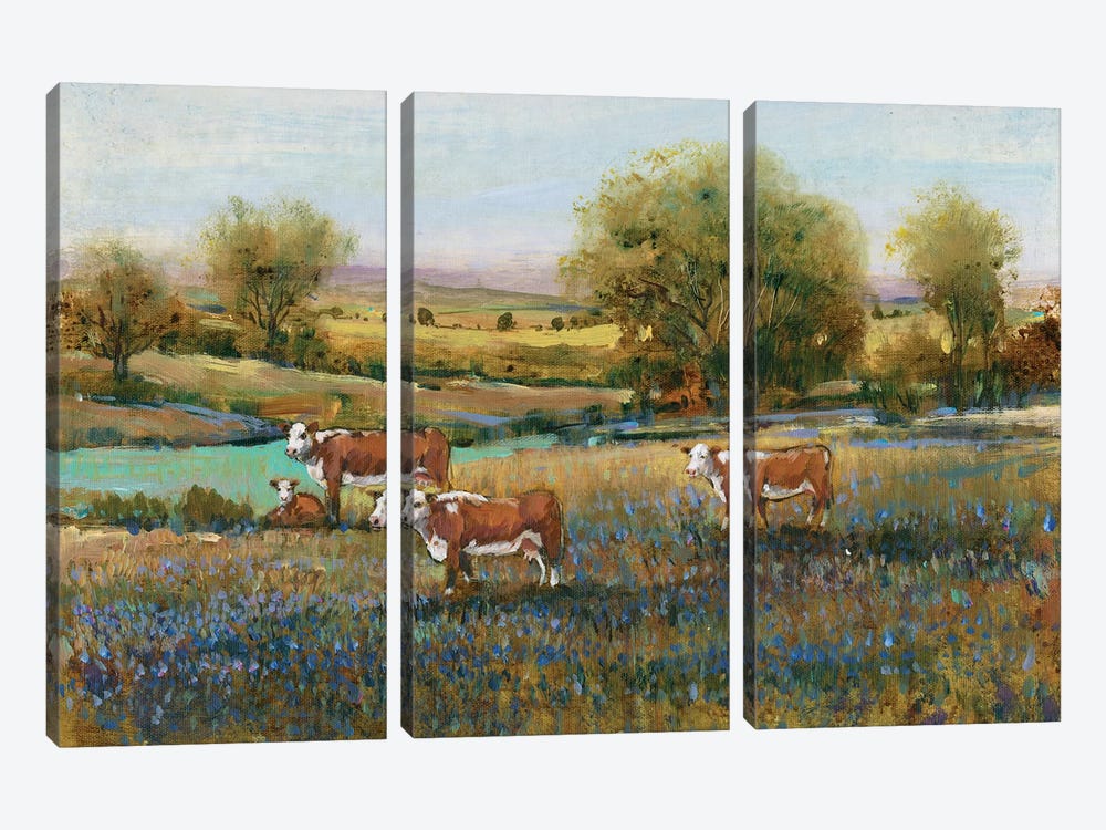 Field Of Cattle II by Tim OToole 3-piece Art Print