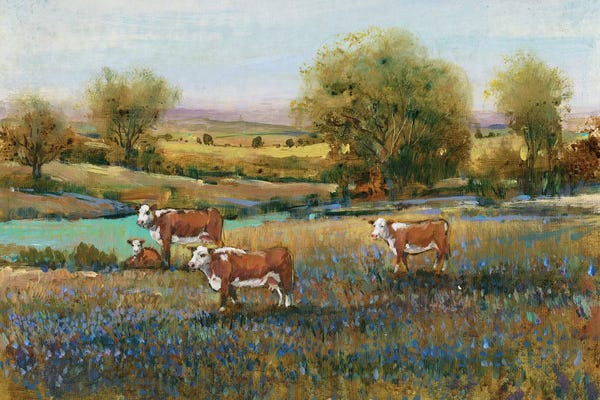 Farms: Field Of Cattle II by Tim O'Toole
