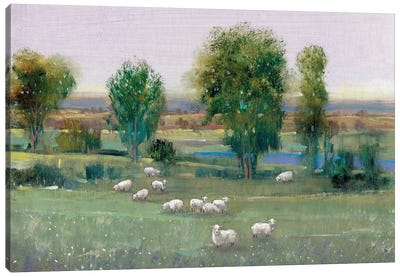 Field Of Sheep I Canvas Art Print - Pond Art