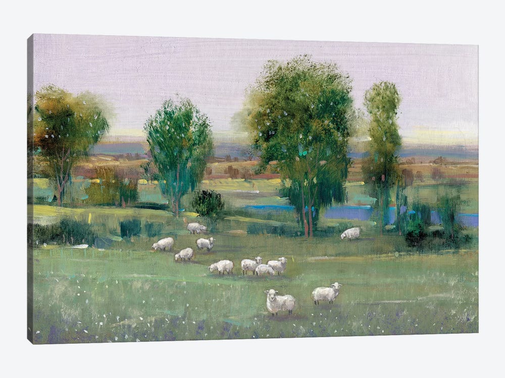 Field Of Sheep I by Tim OToole 1-piece Canvas Wall Art