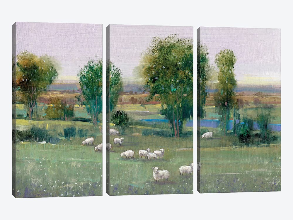 Field Of Sheep I by Tim OToole 3-piece Canvas Wall Art