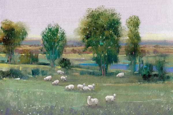 Farms: Field Of Sheep I by Tim O'Toole