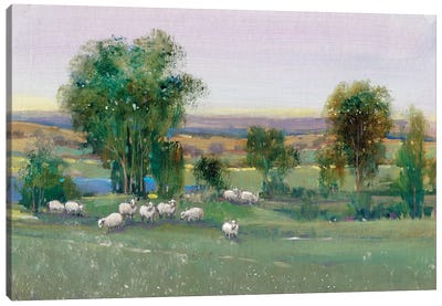 Field Of Sheep II Canvas Art Print - Farm Art