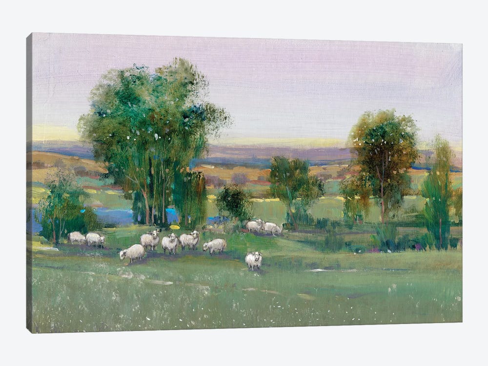 Field Of Sheep II by Tim OToole 1-piece Canvas Print