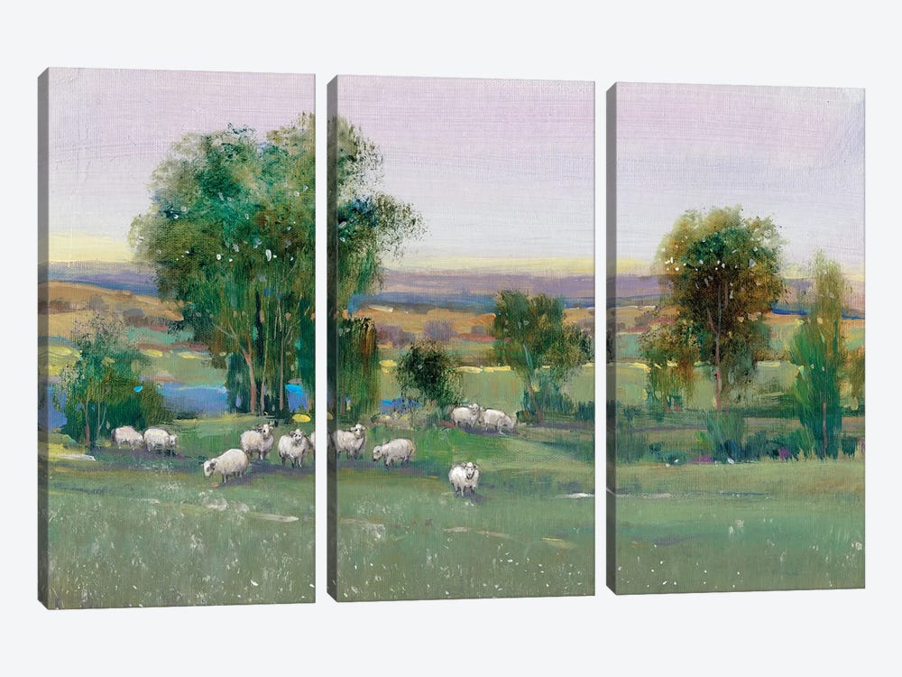 Field Of Sheep II by Tim OToole 3-piece Art Print