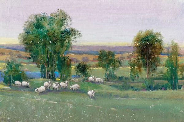 Ponds: Field Of Sheep II by Tim O'Toole