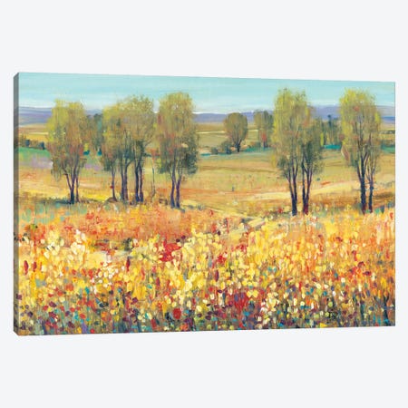 Golden Fields I Canvas Print #TOT250} by Tim OToole Canvas Artwork