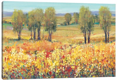 Golden Fields I Canvas Art Print - Tim O'Toole